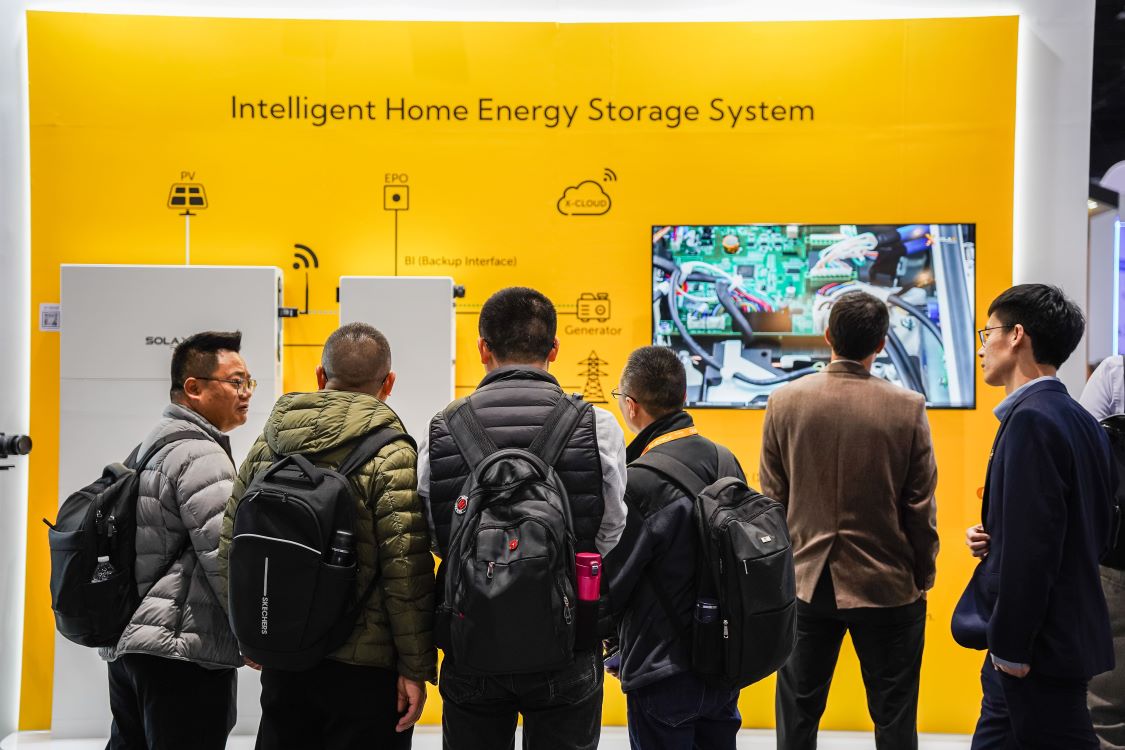 DSC06181.jpg DSC06181.jpg